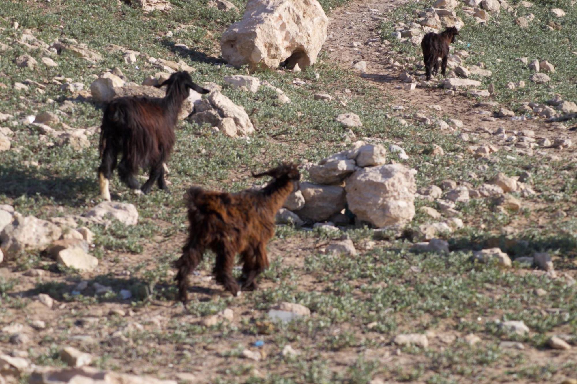 Sidi Kaouki Perla Ξενοδοχείο Εξωτερικό φωτογραφία