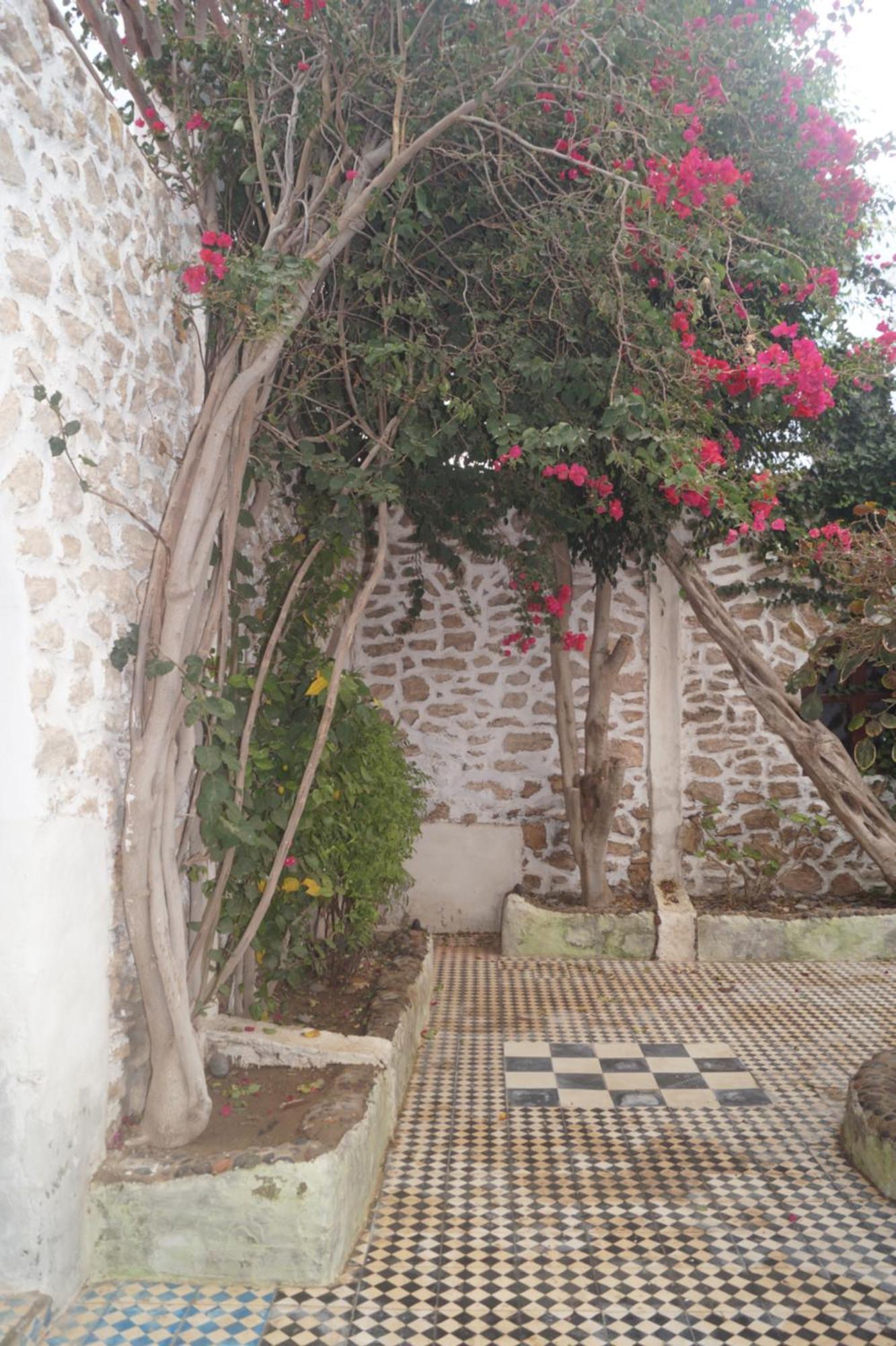 Sidi Kaouki Perla Ξενοδοχείο Εξωτερικό φωτογραφία